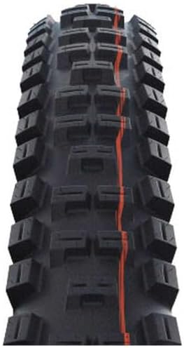 Vue 2 de Schwalbe Big Betty Evo