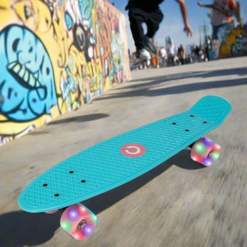 Vue 2 de Evo Planche Roulettes