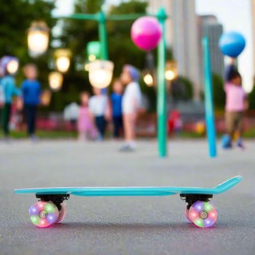 Vue 3 de Evo Planche Roulettes