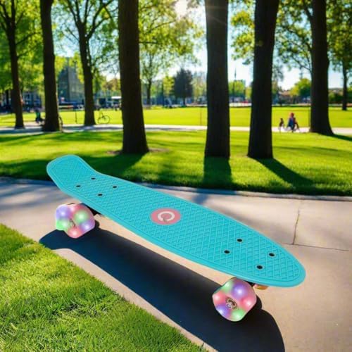Vue 6 de Evo Planche Roulettes