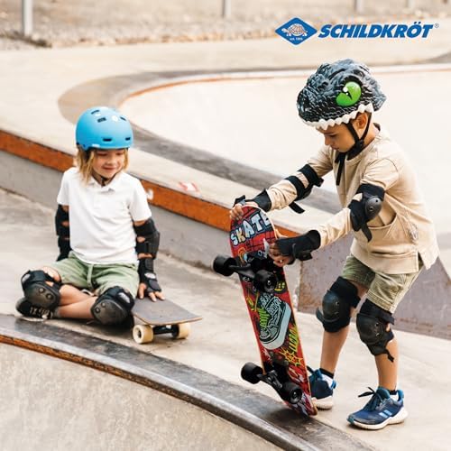 Vue 6 de Schildkrot Miniskateboard Planche En