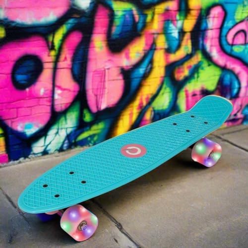 Vue 7 de Evo Planche Roulettes