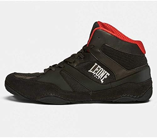 Vue 3 de Leone Scarpa Fighting Luchador