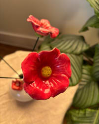 Detail of coral and cream glaze variations across the blooms