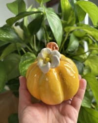 Top-down view of the ceramic pumpkin showing the flower detail