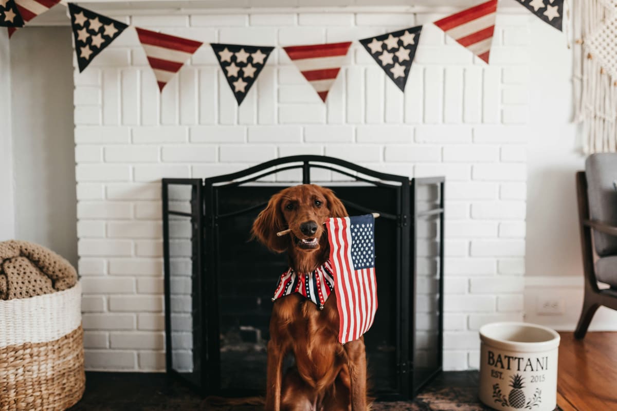 Independence Day