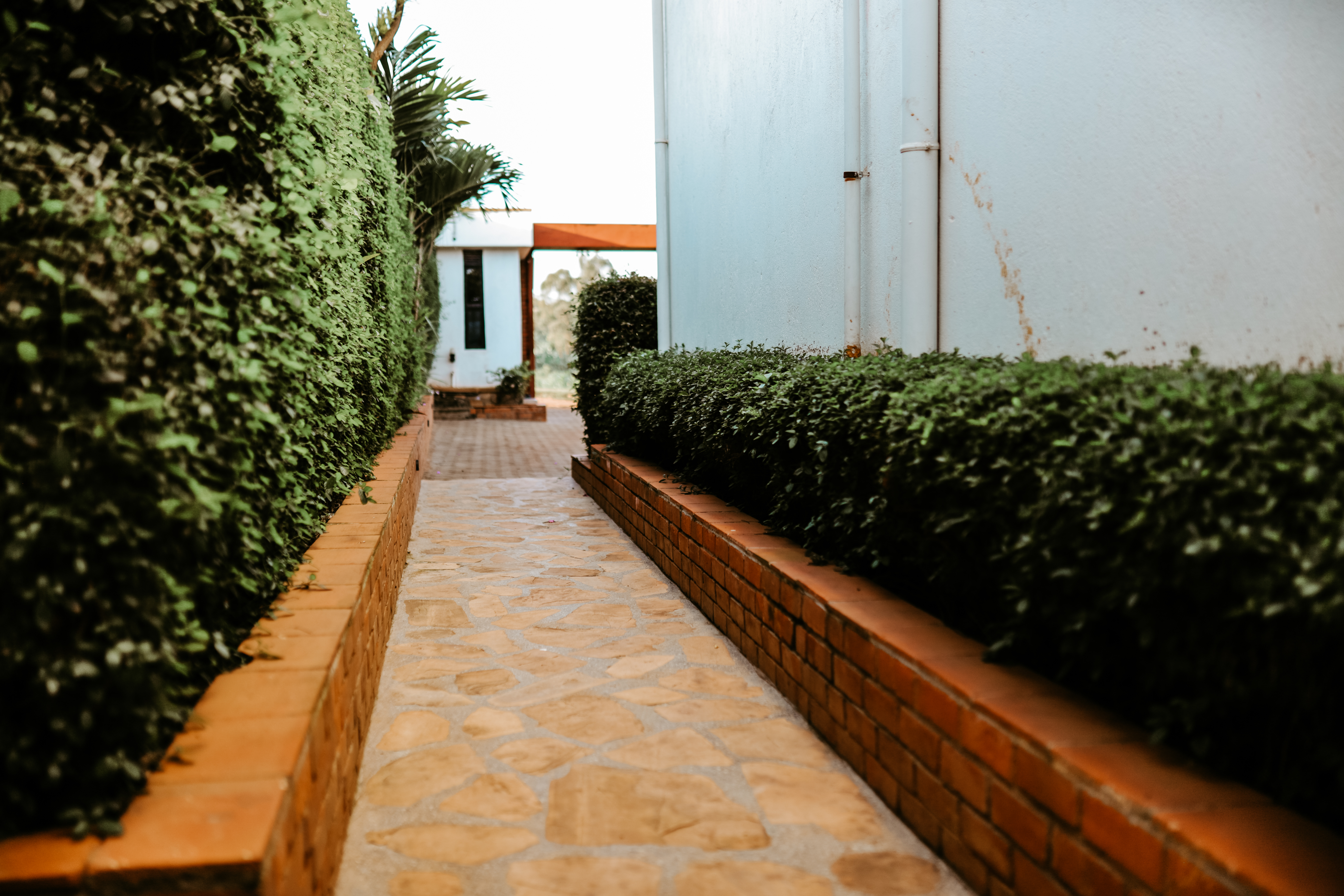 New Eco-Friendly Initiatives Launch