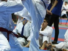 Спортсмены Подмосковья 9&nbsp;марта поучаствуют в&nbsp;соревнованиях по&nbsp;кекусинкан&nbsp;— Кубок Наций