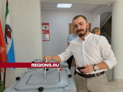 Дистанционное голосование: плюсы и минусы