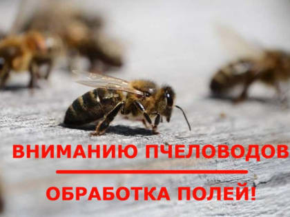 Вниманию пчеловодов! Обработка полей