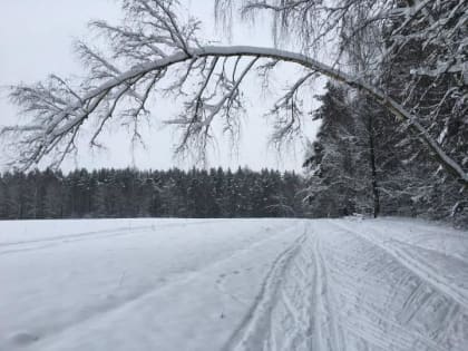 Народная лыжня в Снегирях открыла сезон   