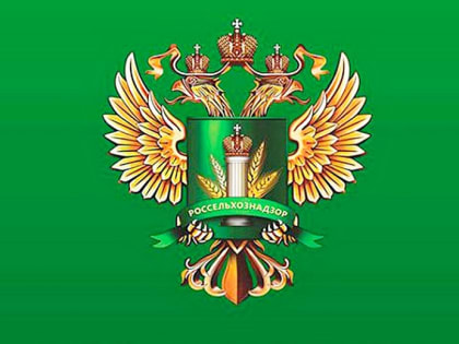 Россельхознадзор напоминает правила выбора ветеринарных препаратов для защиты домашних животных в сезон активности клещей