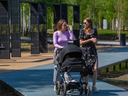 Осенью в парке «Городской лес» Домодедова побывало почти 120 тыс посетителей