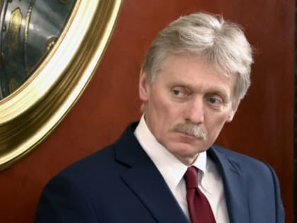 Песков: правительство обсуждает идею добровольного разового взноса в бюджет со стороны бизнеса