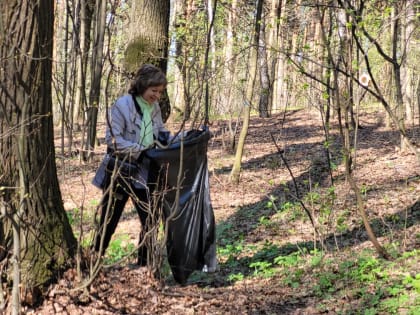 Работники  МОУ гимназии №7 приняли активное участие во Всероссийском субботнике