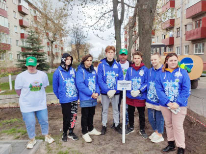 Аллеи героев посадили в память об участниках Великой Отечественной войны