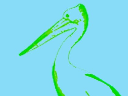 Творческий фестиваль «Пеликан» пройдет в подмосковной Кашире