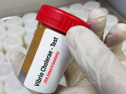 В Ленинградской области опасаются распространения холеры