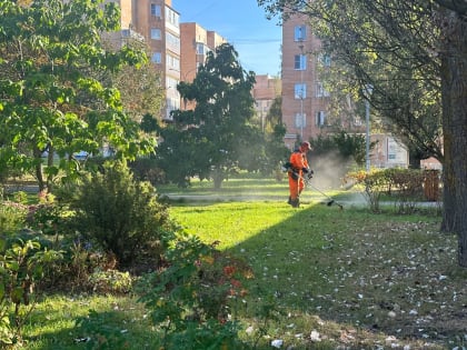 Покос травы организовали в поселении Воскресенское