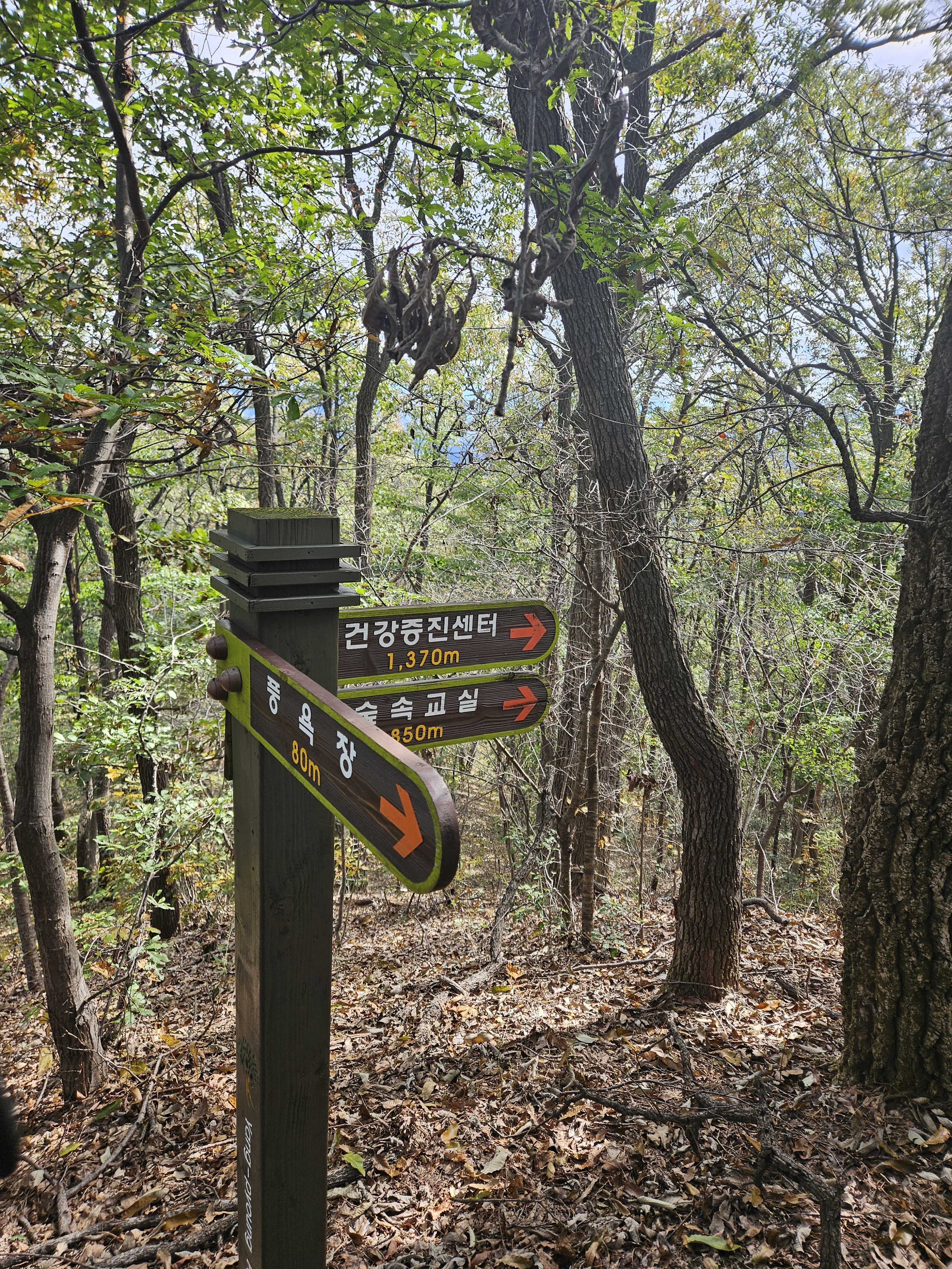 숲길 이정표