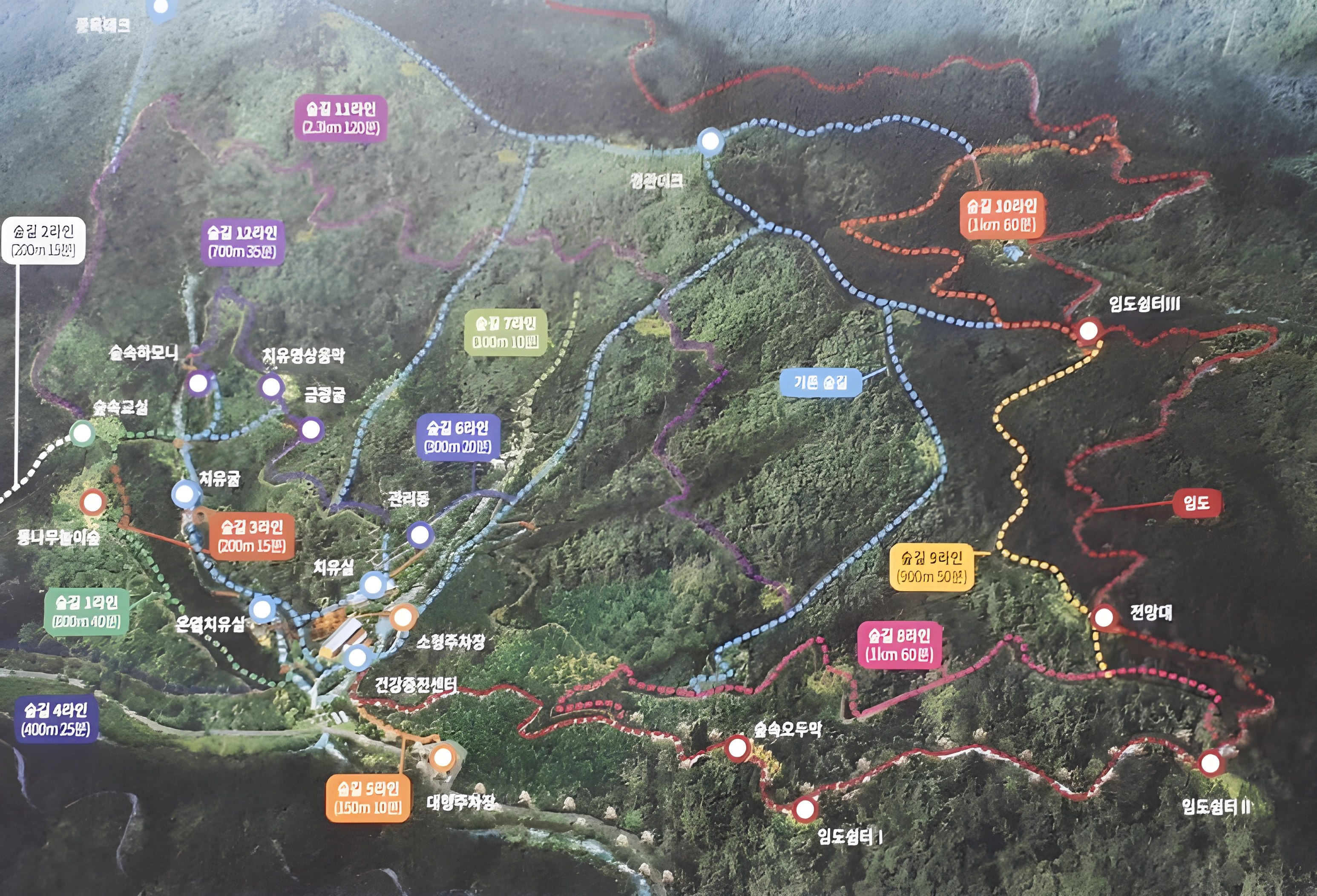 이아소 마을 숲 입구