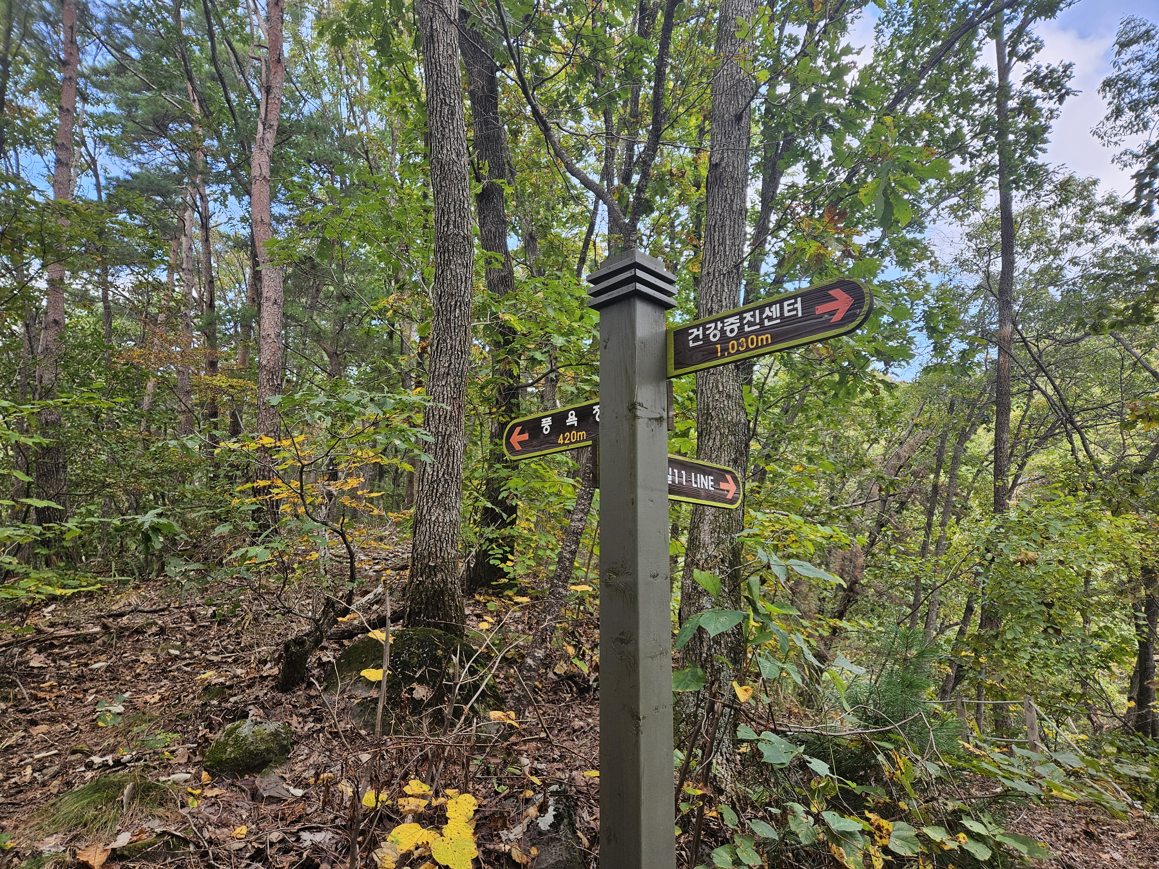 180만 평의 치유, 국립 양평 치유의 숲