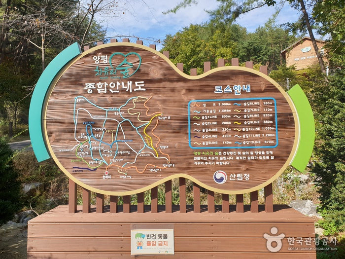 국립 양평 치유의 숲 산책로