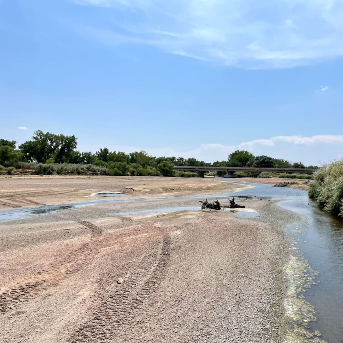 River Bend - East Side Dove