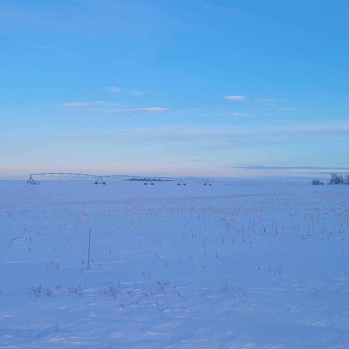 Borderline East - Waterfowl