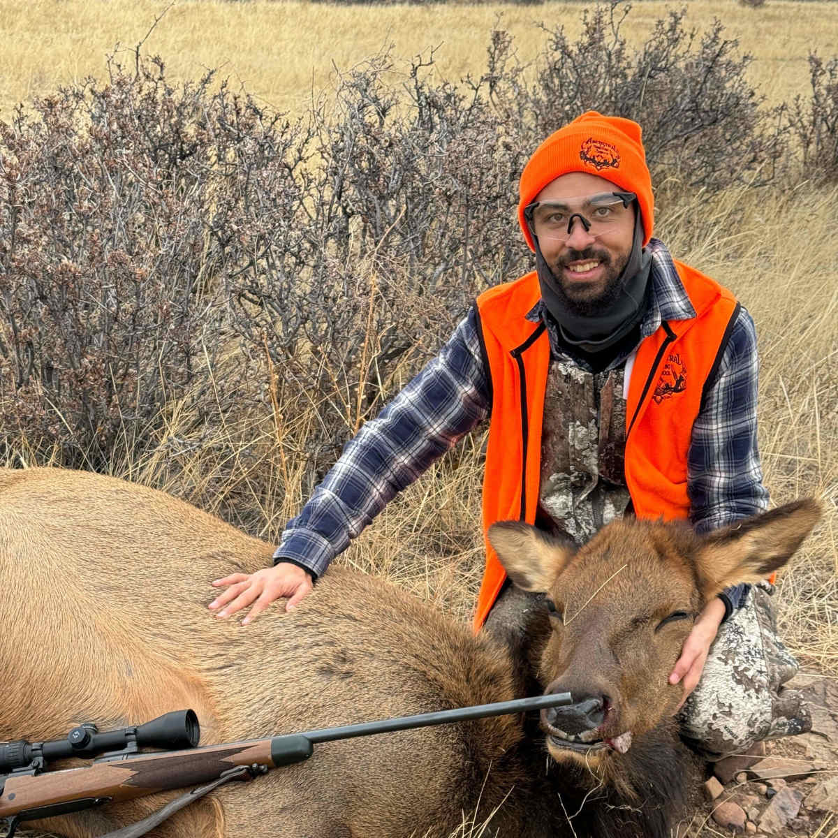 Luman Creek - Cow Elk