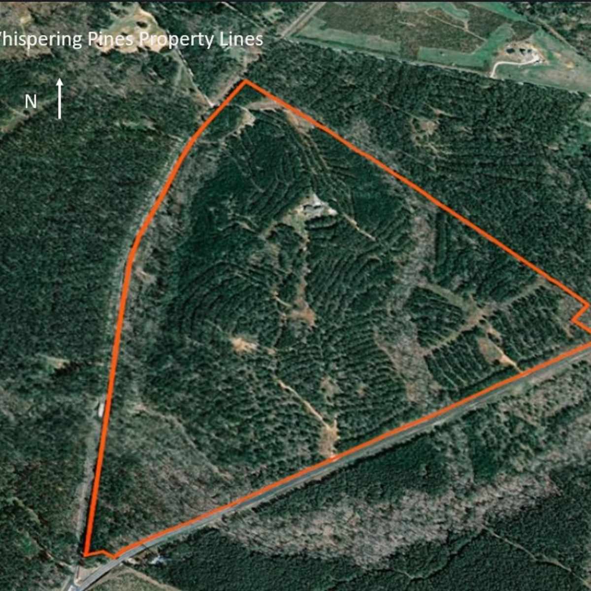 Whispering Pines - Deer Hunt