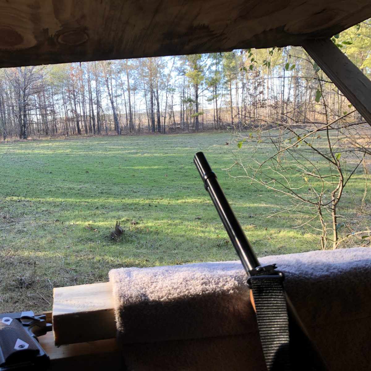 Deep South Whitetail (3 Day Hunt)