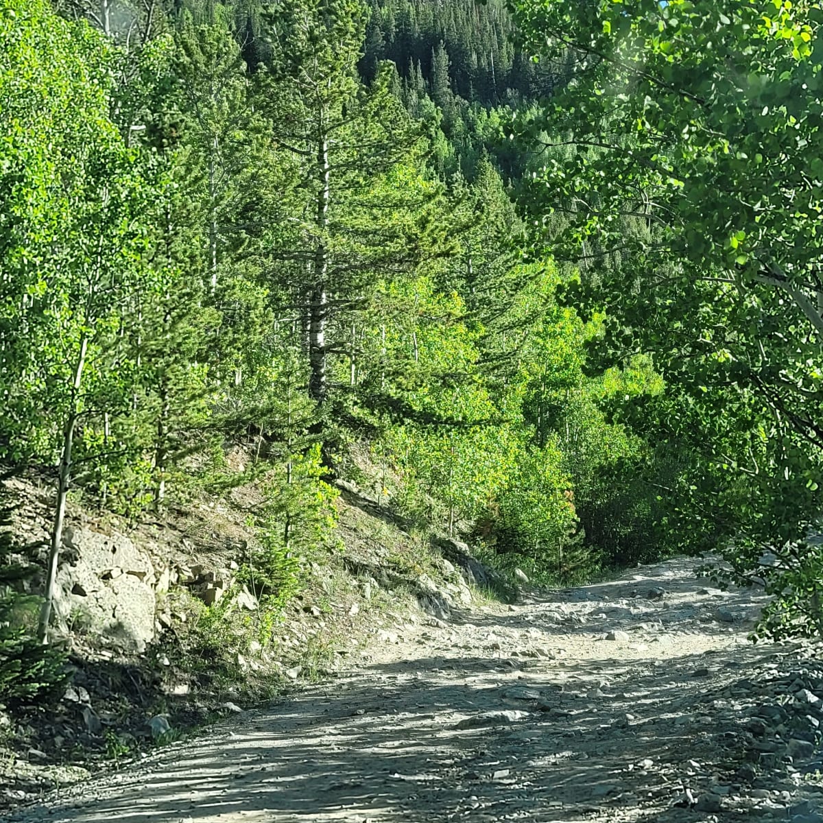 Boulder Creek South - Elk Hunt