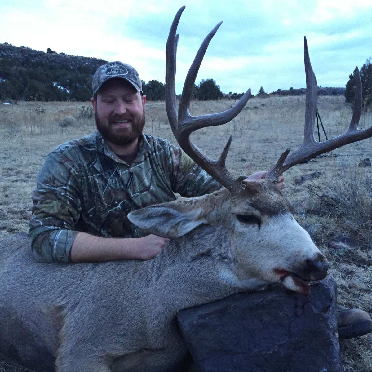 Luman Creek - Mule Deer