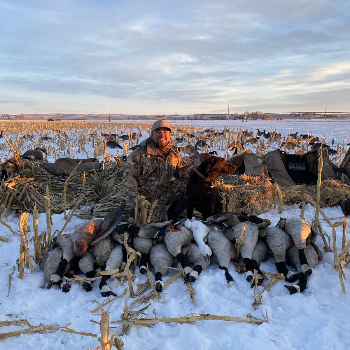 Hillrose East - Goose Blind