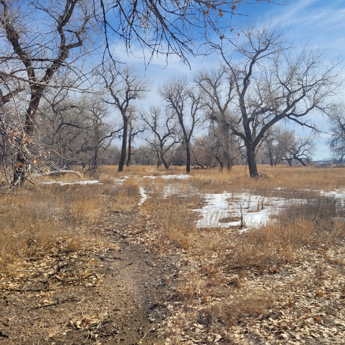 Gander River (South Platte) - Turkey: 2-Day Hunt