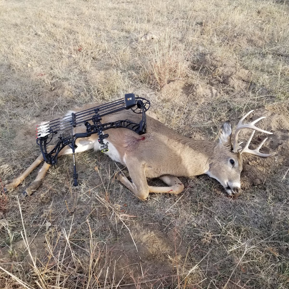 Iron Mountain Whitetail - 5 day