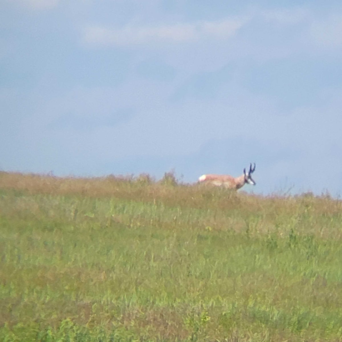 59 Grain CO - Pronghorn 4-Day