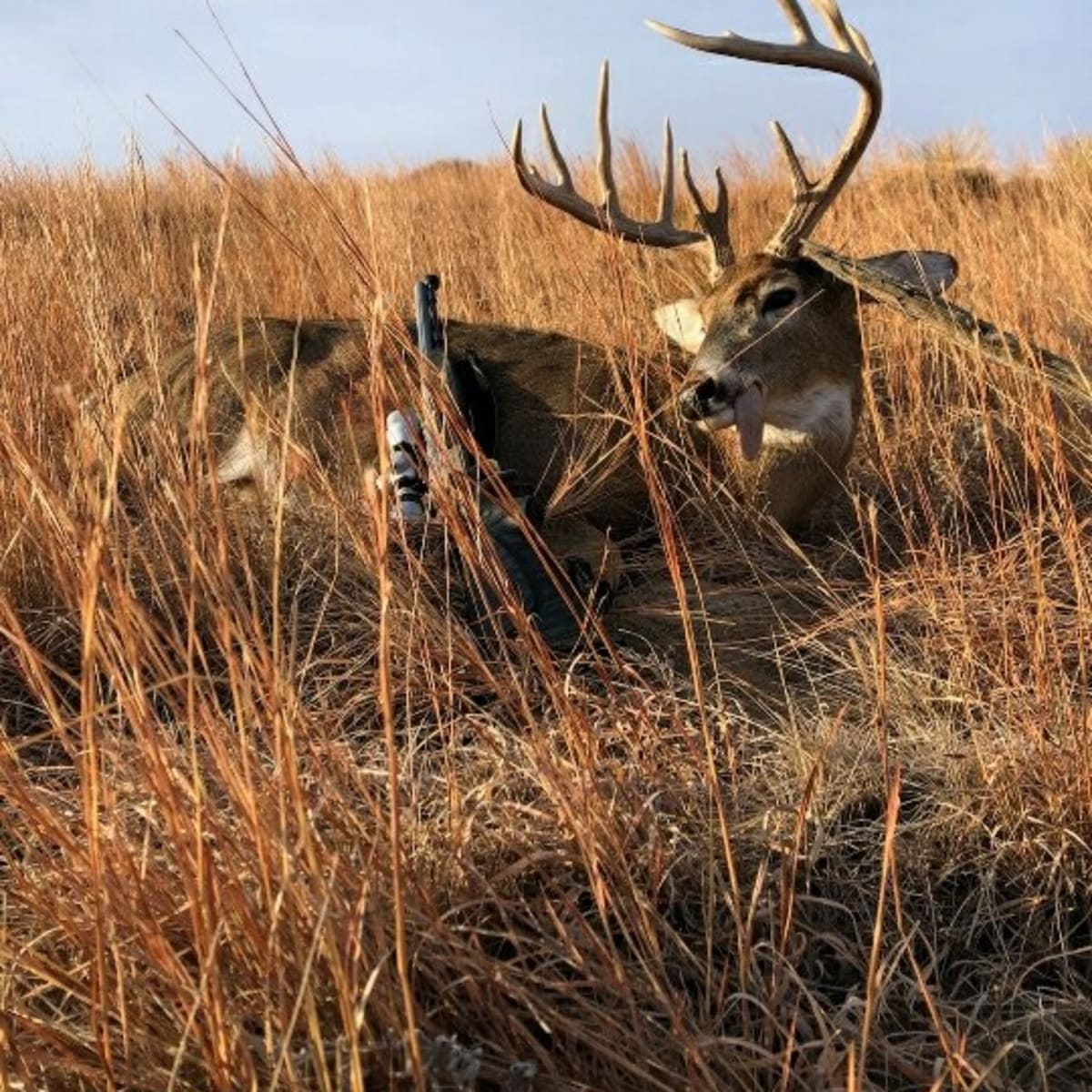 Skull Creek- Deer Hunt 5-day 