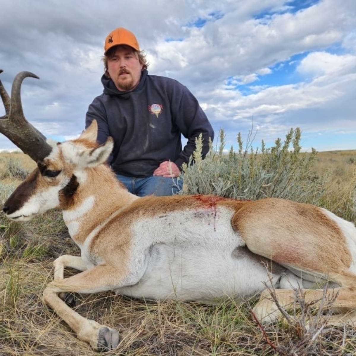 Sand Hills Pronghorn