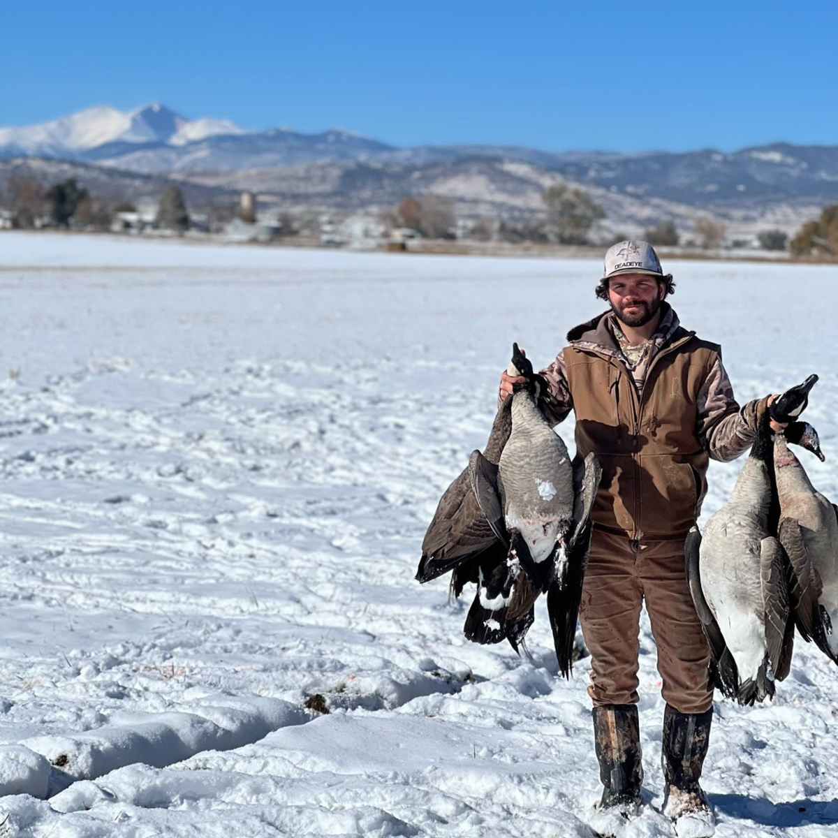 Handy Dam - Waterfowl