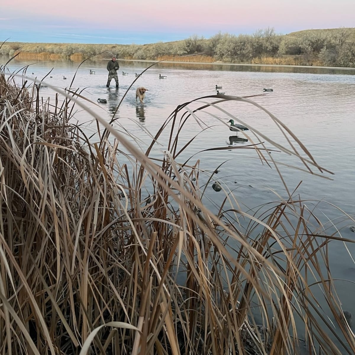 Far East North Platte