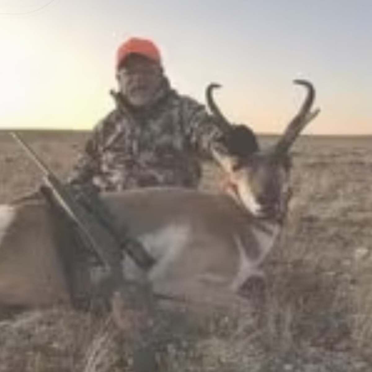Medicine Bow North - Pronghorn
