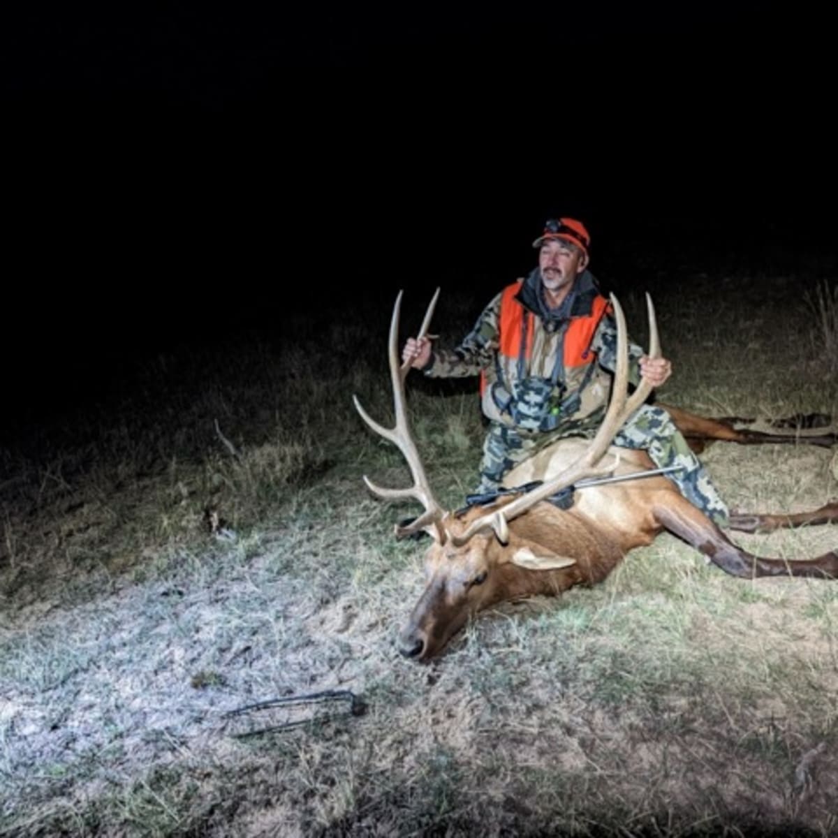 Walsh Ranch - Elk 