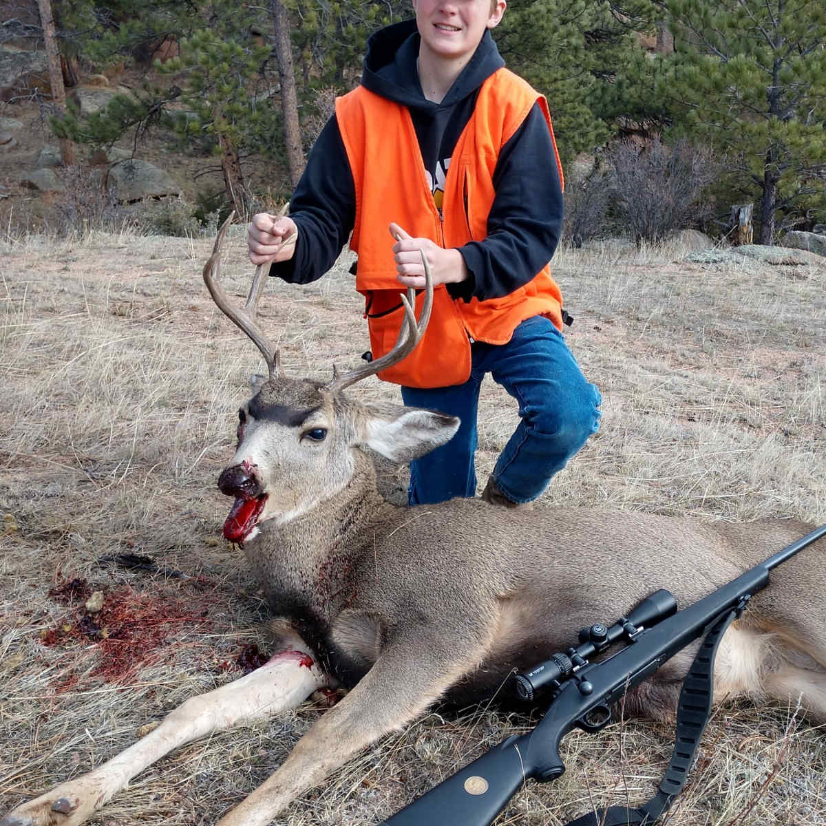 Mountain View - Mule Deer