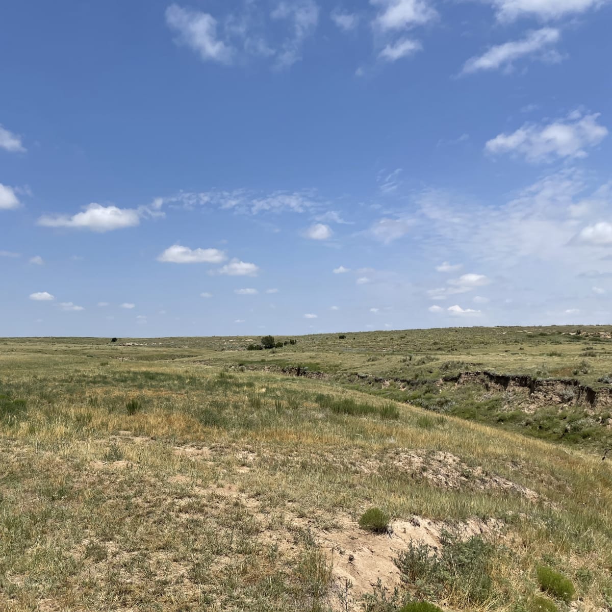 Santa Fe Trail Ranch - Antelope Hunt 3-Day