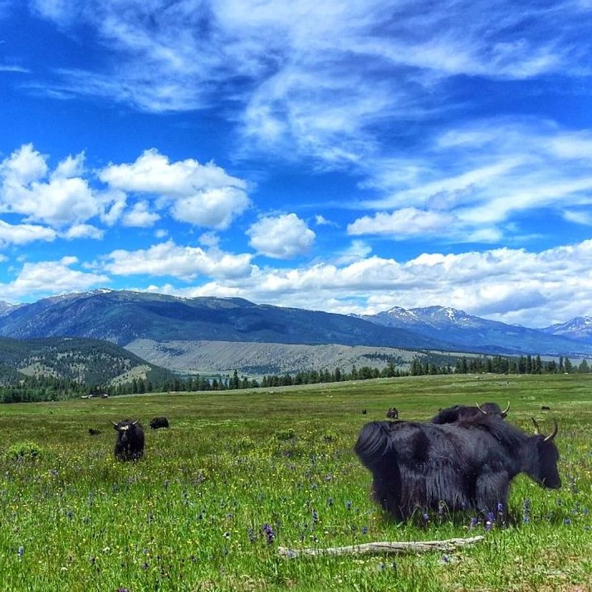 Horse Thief Ranch - Fishing