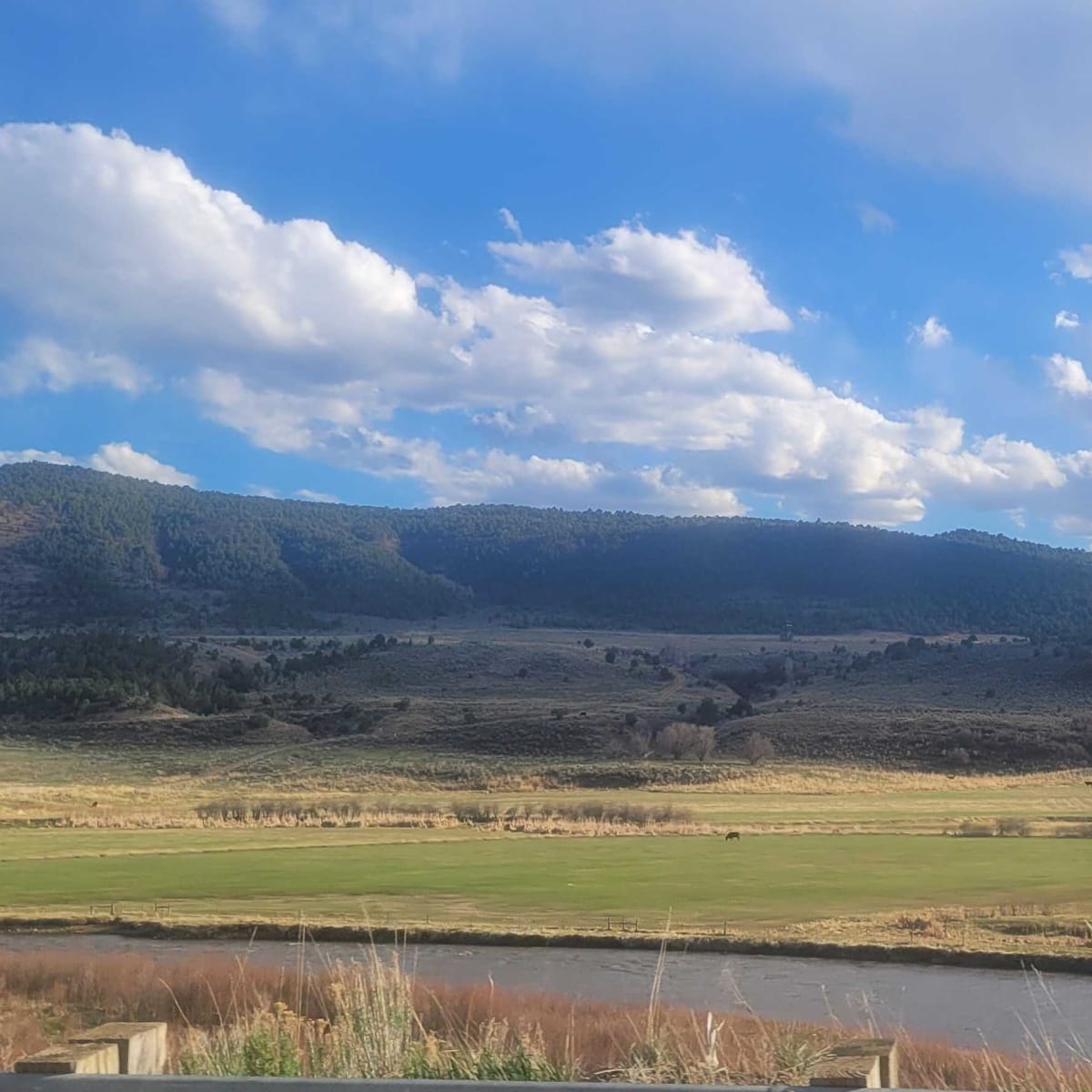 Shults Main Ranch East- Turkey