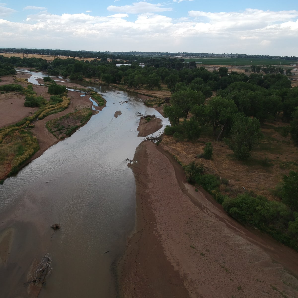 Gander River - Dove 