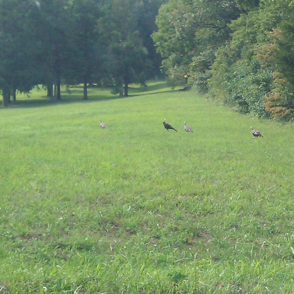 Hunting & Camping Grounds